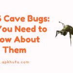 OSRS Cave Bugs All You Need to Know About Them