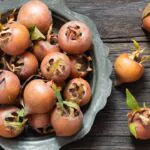 Medlar Fruit: Know Its Benefits and Use It for Good Health